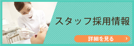 スタッフ採用情報