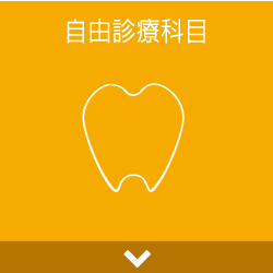 自由診療科目